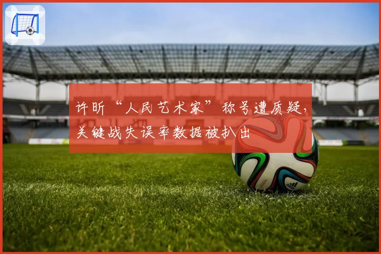 许昕“人民艺术家”称号遭质疑,关键战失误率数据被扒出